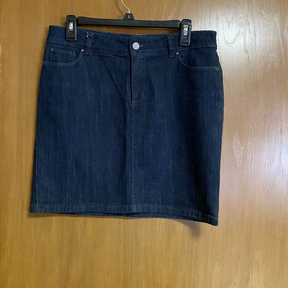 Ann Taylor Denim Skirt - 10P